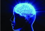 anatomia-judaica-cabeca-cerebro